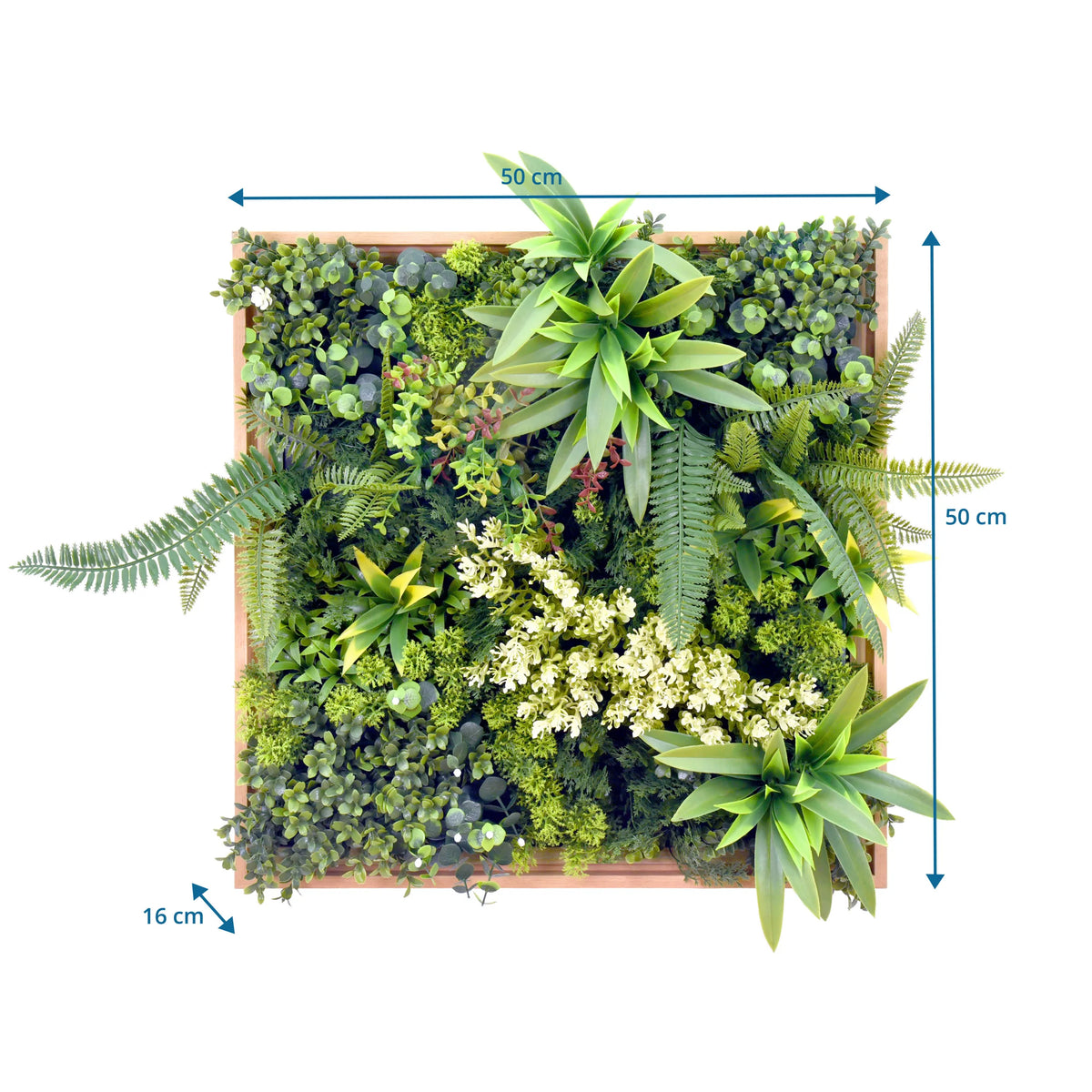 Kasvimatto LEAFLUXE WALL 1 mittojen piirros, 50 × 50 cm ja 16 cm syvyys, valmistaja hjh LIVING