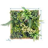 Kasvimatto LEAFLUXE WALL 1 mittojen piirros, 50 × 50 cm ja 16 cm syvyys, valmistaja hjh LIVING