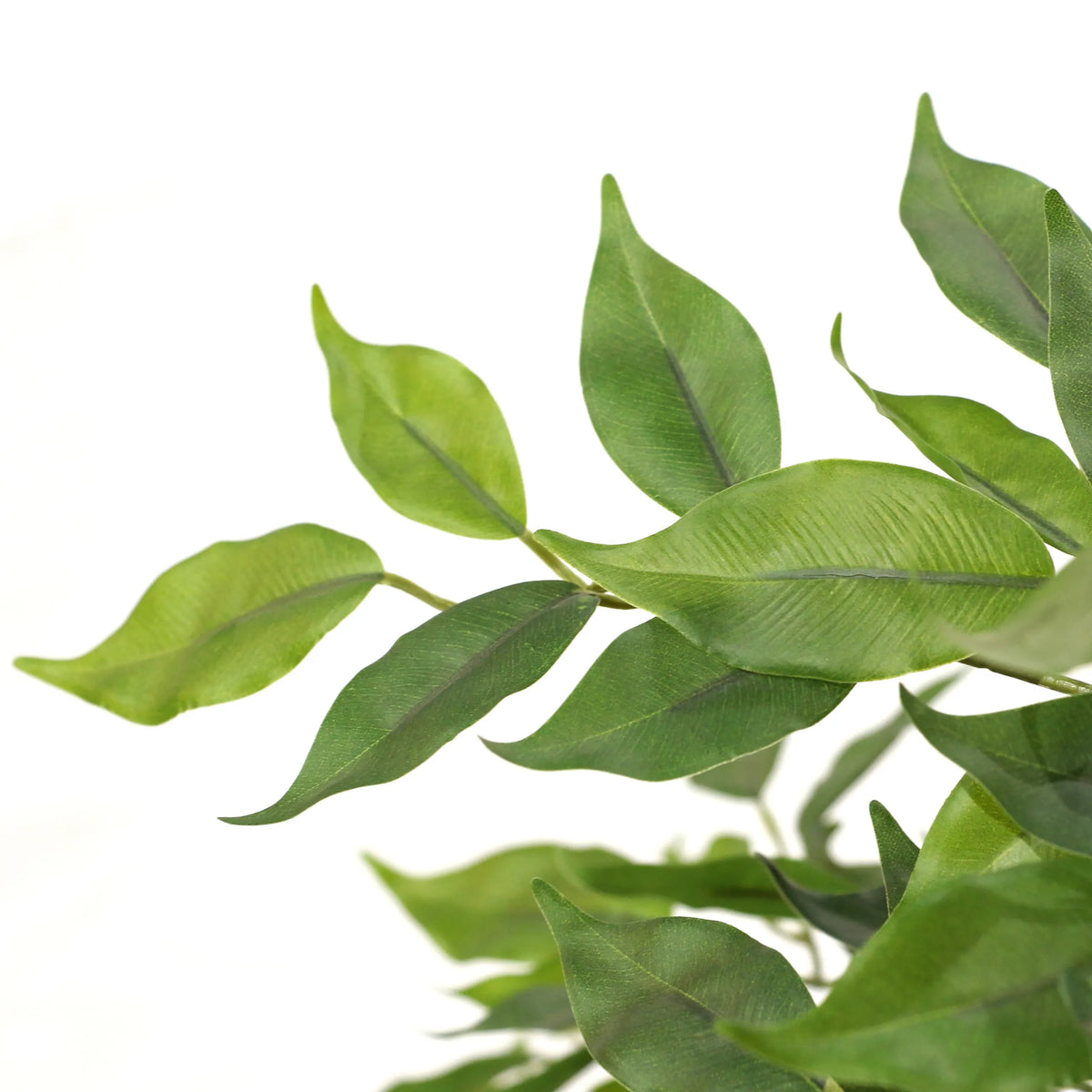 Tekokasvi FICUS I-kasvin vihreät lehdet, valmistaja hjh OFFICE