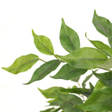 Tekokasvi FICUS I-kasvin vihreät lehdet, valmistaja hjh OFFICE