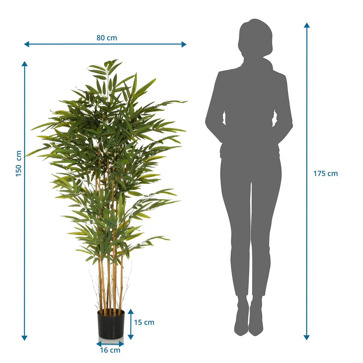 Tekokasvi BAMBUS II mittapiirros, korkeus 150 cm ja leveys 80 cm, valmistaja hjh OFFICE