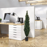 Vihreä tekokasvi CEDRUS mustassa ruukussa toimistossa, valmistaja hjh OFFICE