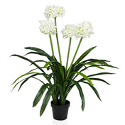 Tekokasvi AGAPANTHUS, jossa on valkoisia kukkia, vihreitä lehtiä ja musta ruukku, valmistaja hjh OFFICE
