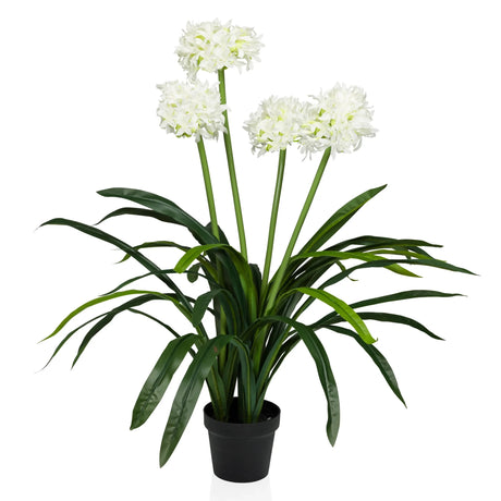 Tekokasvi AGAPANTHUS, jossa on valkoisia kukkia, vihreitä lehtiä ja musta ruukku, valmistaja hjh OFFICE