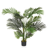 ARECA II - Tekokasvi 