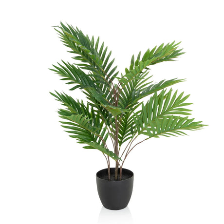 Tekokasvi ARECA vihreillä palmunlehdillä mustassa ruukussa, valmistaja hjh OFFICE