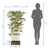 Mitattekuva Tekokasvi BAMBUS I, korkeus 150 cm ja leveys 60 cm, valmistaja hjh OFFICE