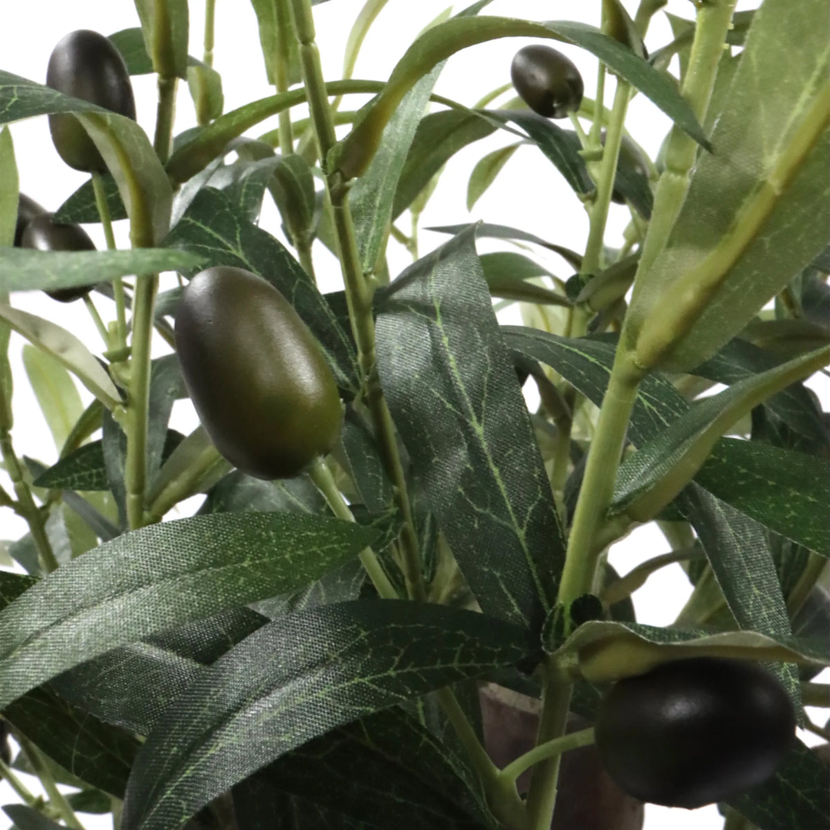 Tekokasvi Olive S-kasvin vihreät lehdet ja tummat oliivit, valmistaja hjh OFFICE