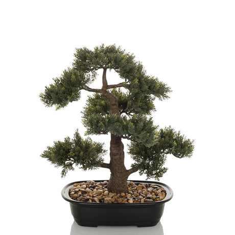 Tekokasvi BONSAI vihreän bonsain muodossa mustassa kulhossa, jossa on kivet, valmistaja hjh OFFICE