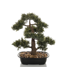 Tekokasvi BONSAI vihreän bonsain muodossa mustassa kulhossa, jossa on kivet, valmistaja hjh OFFICE