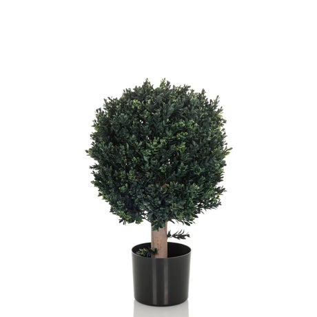 Tekokasvi BUXUS vihreänä pallomaisella latvuksella mustassa ruukussa, valmistaja hjh OFFICE