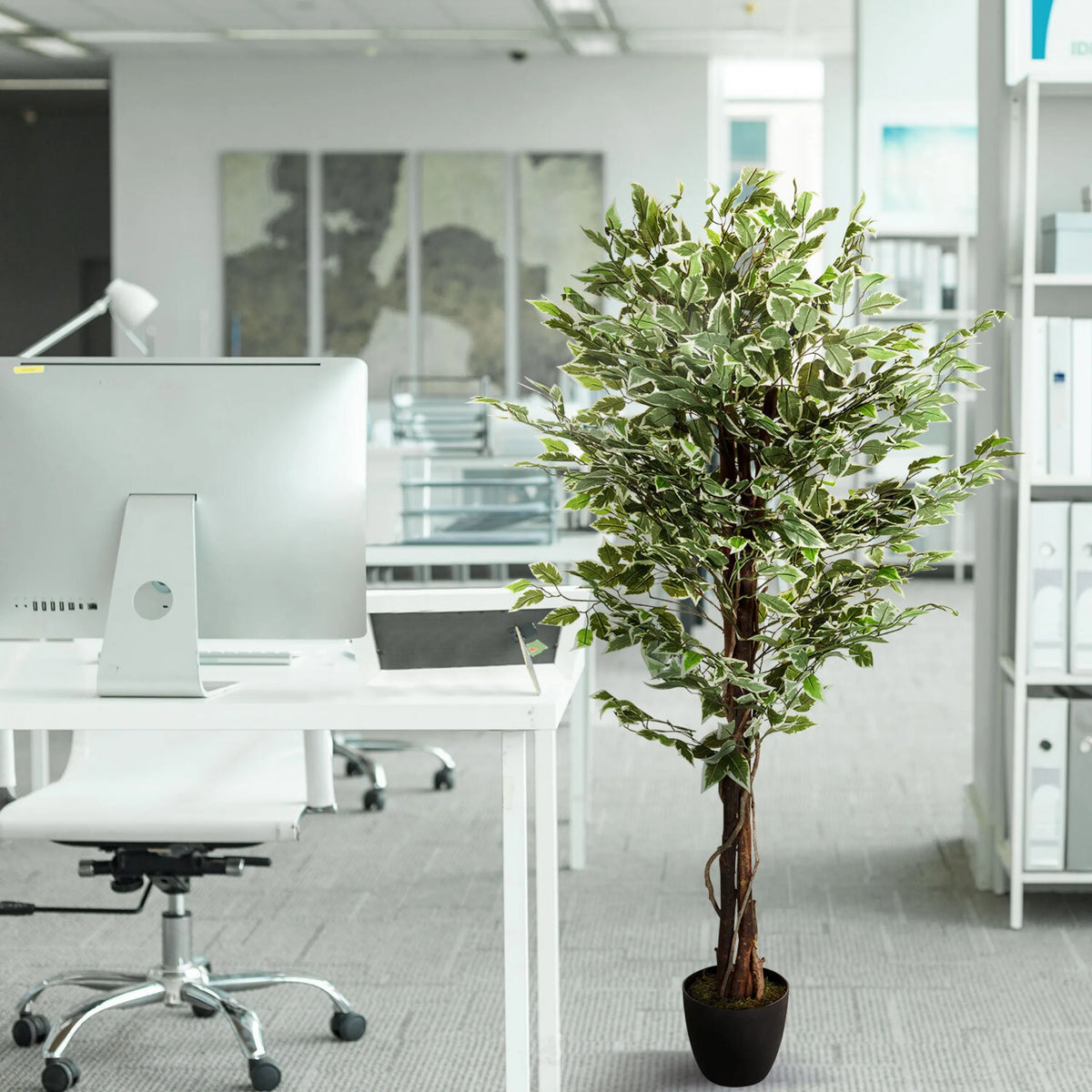 Vihreä tekokasvi FICUS mustassa ruukussa työpöydän vieressä, valmistaja hjh OFFICE