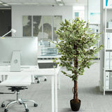 Vihreä tekokasvi FICUS mustassa ruukussa työpöydän vieressä, valmistaja hjh OFFICE