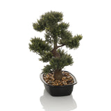 Vihreä Tekokasvi BONSAI bonsain muodossa mustassa ruukussa kivillä, valmistaja hjh OFFICE – 360 asteen näkymä (etunäkymä 0°)