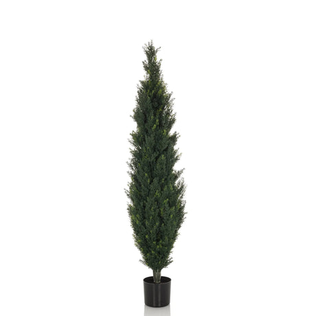Vihreä Tekokasvi CEDRUS hoikassa muodossa mustalla ruukulla, valmistaja hjh OFFICE