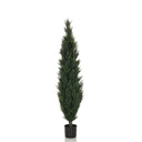 Vihreä Tekokasvi CEDRUS hoikassa muodossa mustalla ruukulla, valmistaja hjh OFFICE