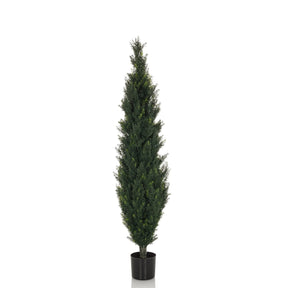 Vihreä Tekokasvi CEDRUS hoikassa muodossa mustalla ruukulla, valmistaja hjh OFFICE