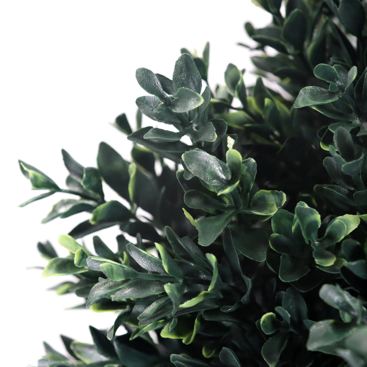 Tekokasvi BUXUS-kasvin vihreät lehdet, valmistaja hjh OFFICE