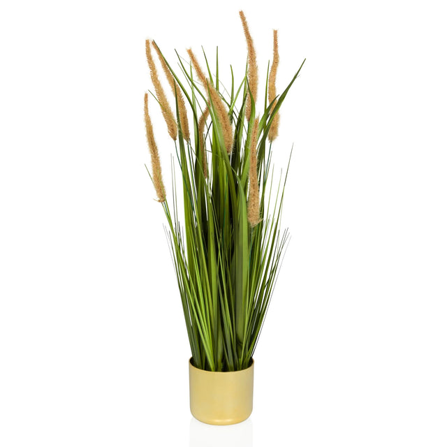 Tekokasvi CORTADERIA I beige ja vihreä kultaisessa ruukussa, valmistaja hjh OFFICE
