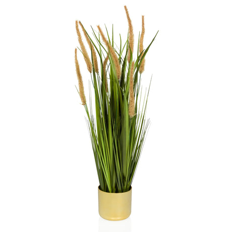 Tekokasvi CORTADERIA I beige ja vihreä kultaisessa ruukussa, valmistaja hjh OFFICE