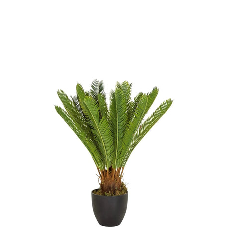 Vihreä Tekokasvi CYCAS saniaisen kaltaisilla lehdillä mustassa ruukussa, valmistaja hjh OFFICE