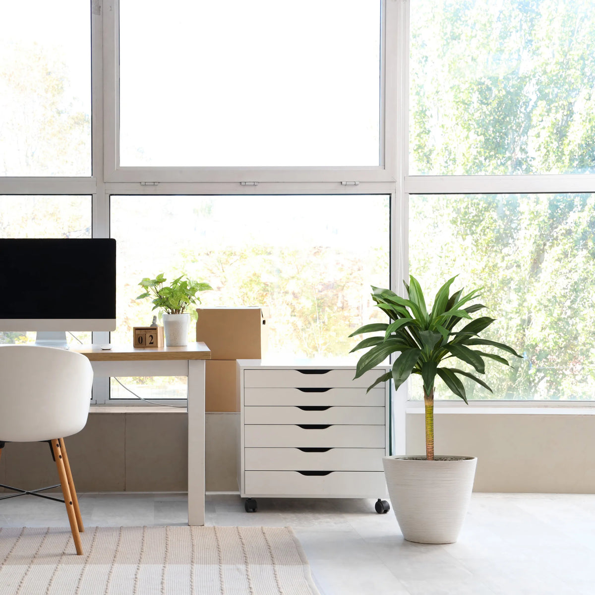 Tekokasvi DRACAENA I vihreänä valkoisessa istutusruukussa valoisassa huoneessa, valmistaja hjh OFFICE
