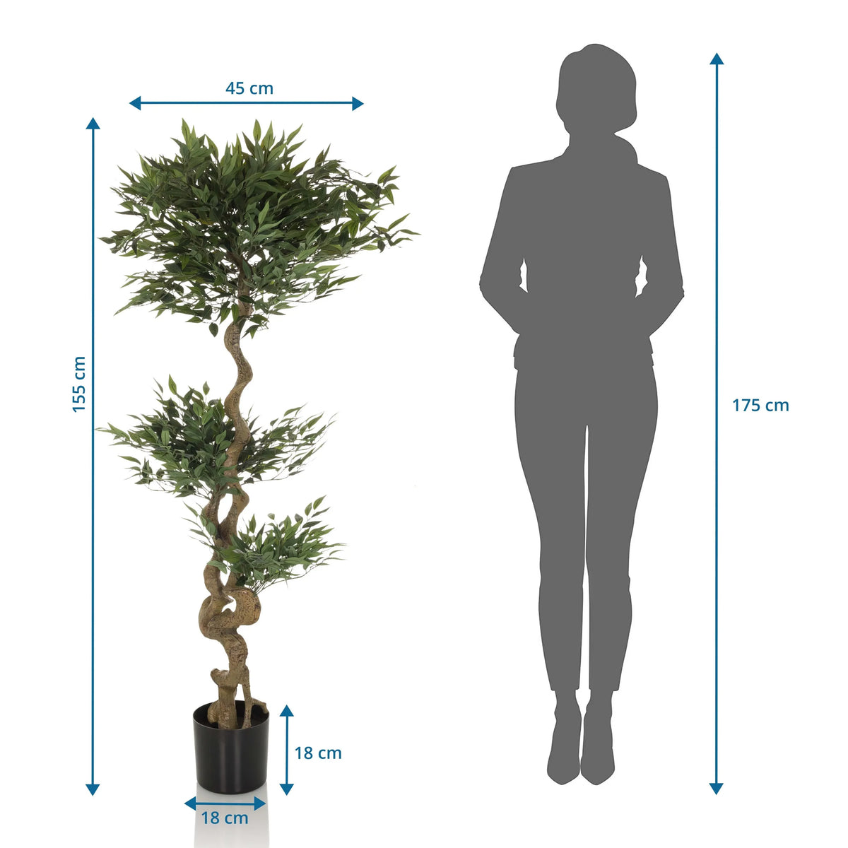 Tekokasvi ACACIA mitan kuva, korkeus 155 cm, valmistaja hjh OFFICE