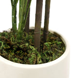 Tekokasvi Schefflera 2-kasvin varret ja sammalkasvualusta valkoisessa ruukussa, valmistaja hjh OFFICE