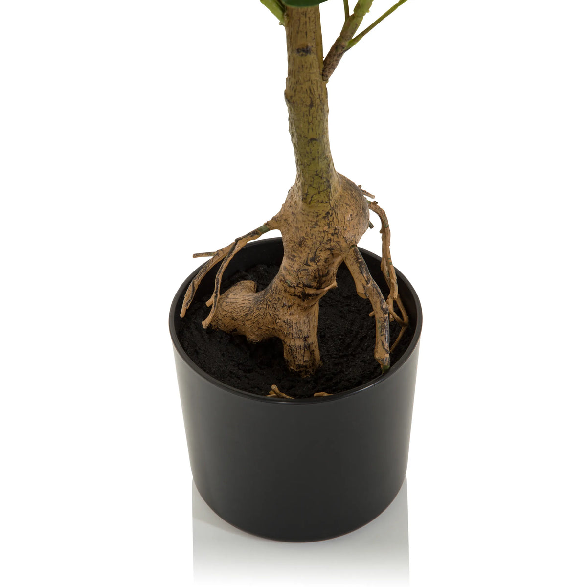 Tekokasvi SCHEFFLERA-kasvin runko ja juuristo mustassa ruukussa, valmistaja hjh OFFICE