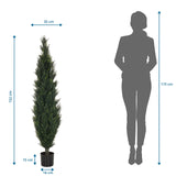 Tekokasvi CEDRUS mitan piirustus, korkeus 152 cm, valmistaja hjh OFFICE
