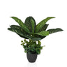 DIEFFENBACHIA - Kunstpflanze - buerostuhl24