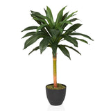 DRACAENA I - Tekokasvi 