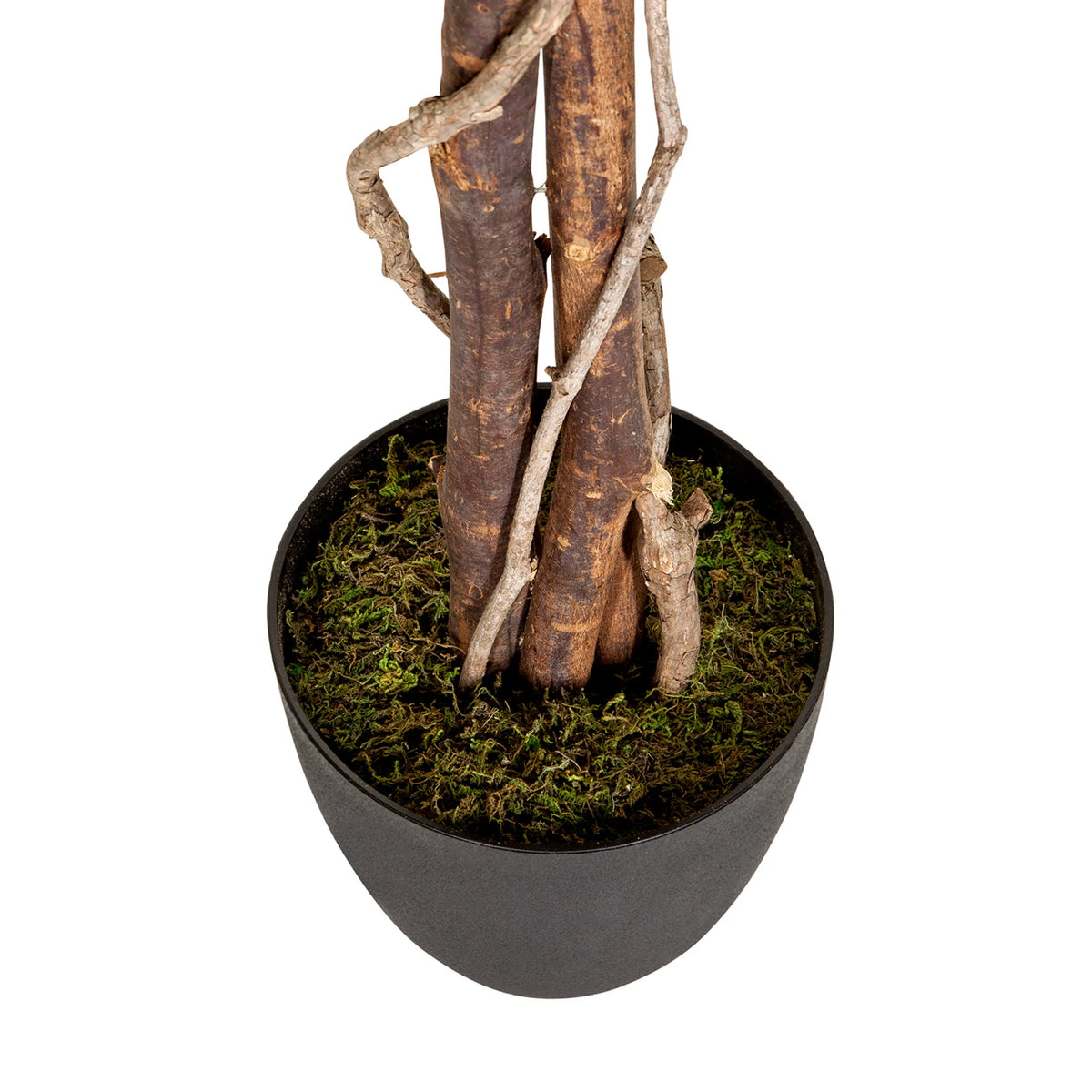 Rungot ja ruukku vihreällä sammaleella, Tekokasvi FICUS, valmistaja hjh OFFICE