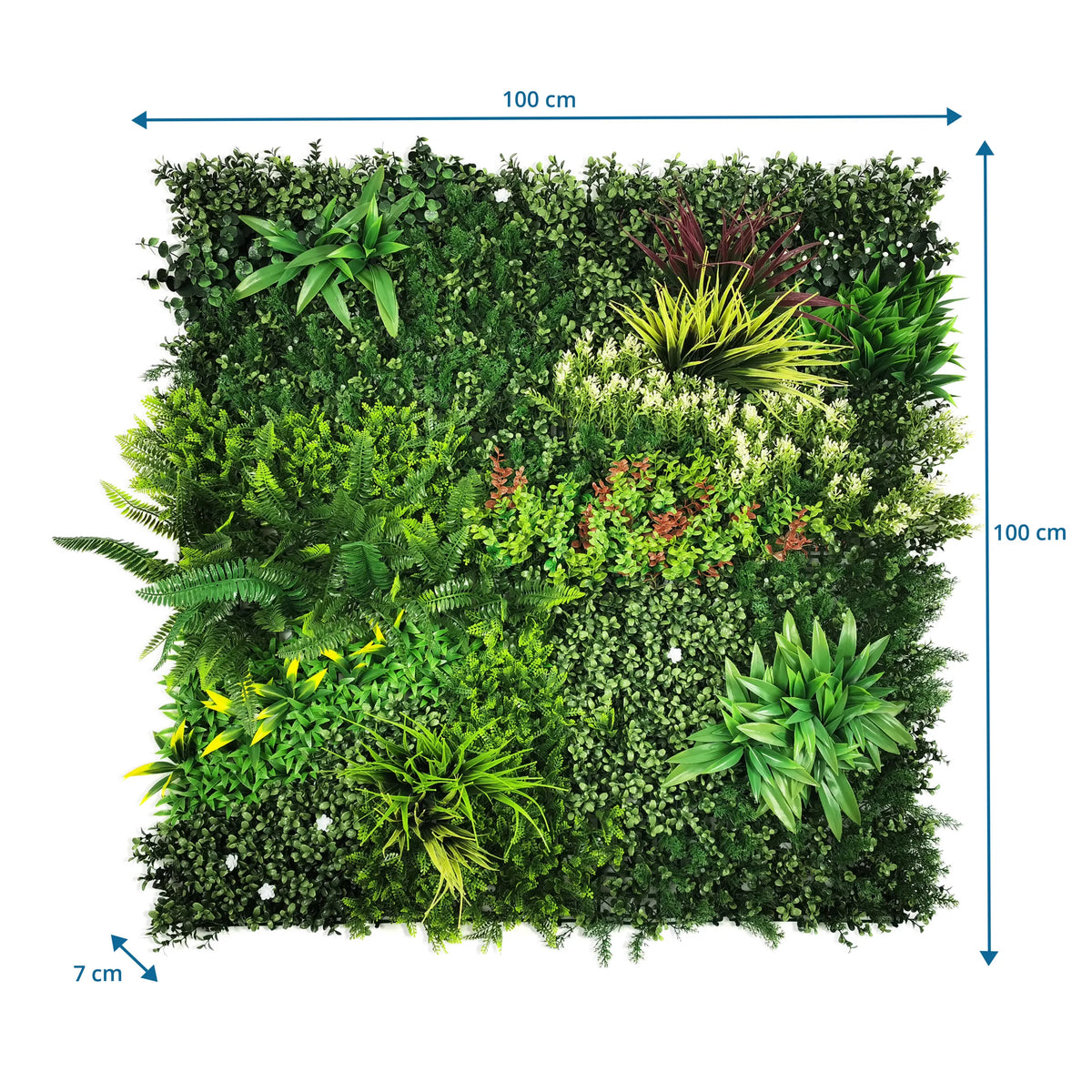 Kasvimatto LEAFLUXE 3D mitat 100 × 100 × 7 cm, valmistaja hjh LIVING
