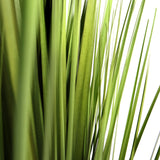 Tekokasvi CORTADERIA-kasvin vihreät lehdet, valmistaja hjh OFFICE