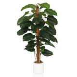 EPIPREMNUM - Tekokasvi 