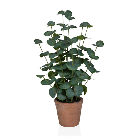 Tekokasvi Eucalyptus vihreänä pyöreillä lehdillä ruskeassa saviruukussa, valmistaja hjh OFFICE