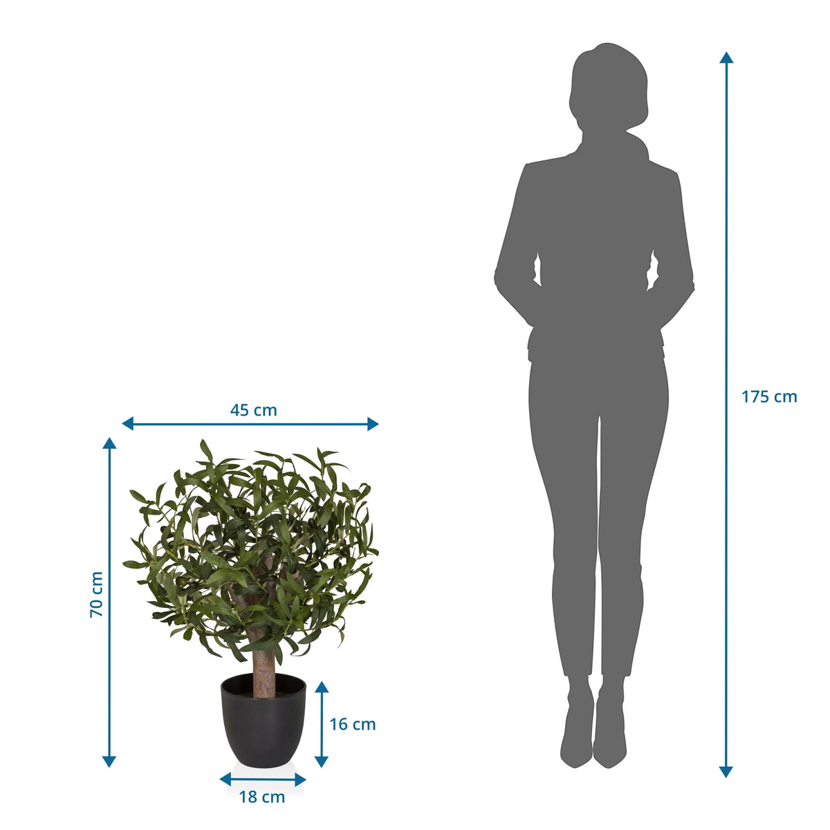 Tekokasvi Olive S mittojen esitys, korkeus 70 cm ja leveys 45 cm, valmistaja hjh OFFICE