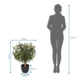 Tekokasvi Olive S mittojen esitys, korkeus 70 cm ja leveys 45 cm, valmistaja hjh OFFICE
