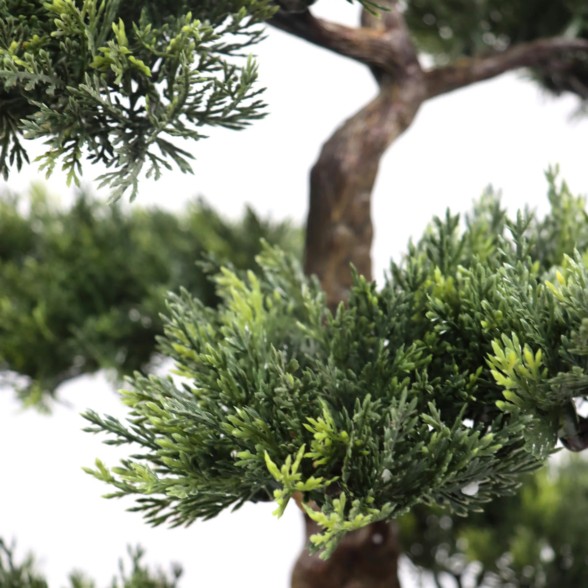 Tekokasvi BONSAI-kasvin vihreät neulasenoksat ja ruskea runko, valmistaja hjh OFFICE