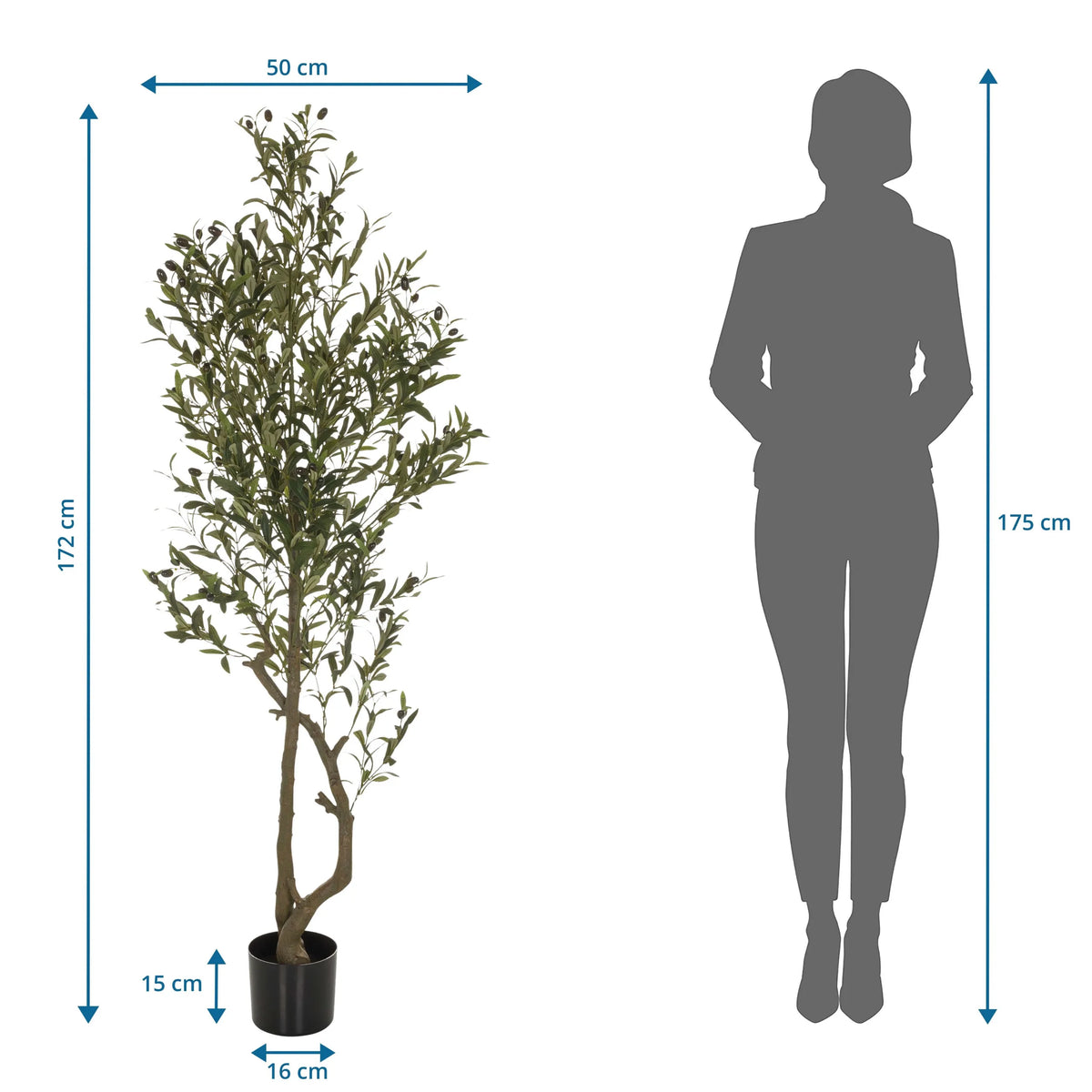 Tekokasvi OLIVE I mittojen kuva, korkeus 172 cm, valmistaja hjh OFFICE