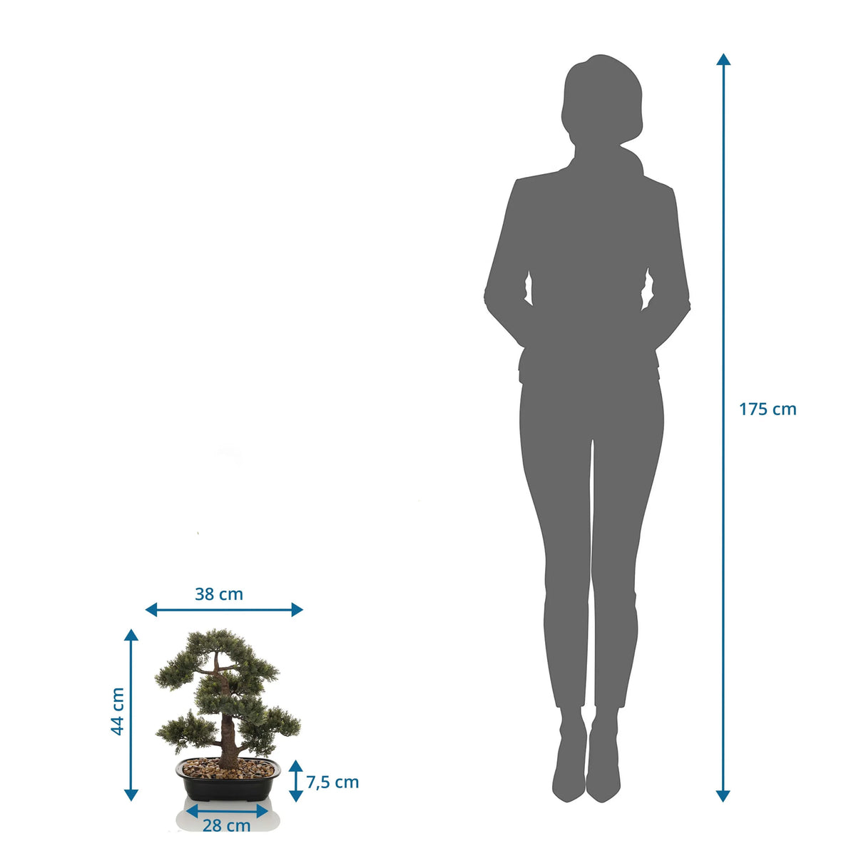 Tekokasvi BONSAI mittojen esitys, korkeus 44 cm vertailuna henkilöön, valmistaja hjh OFFICE