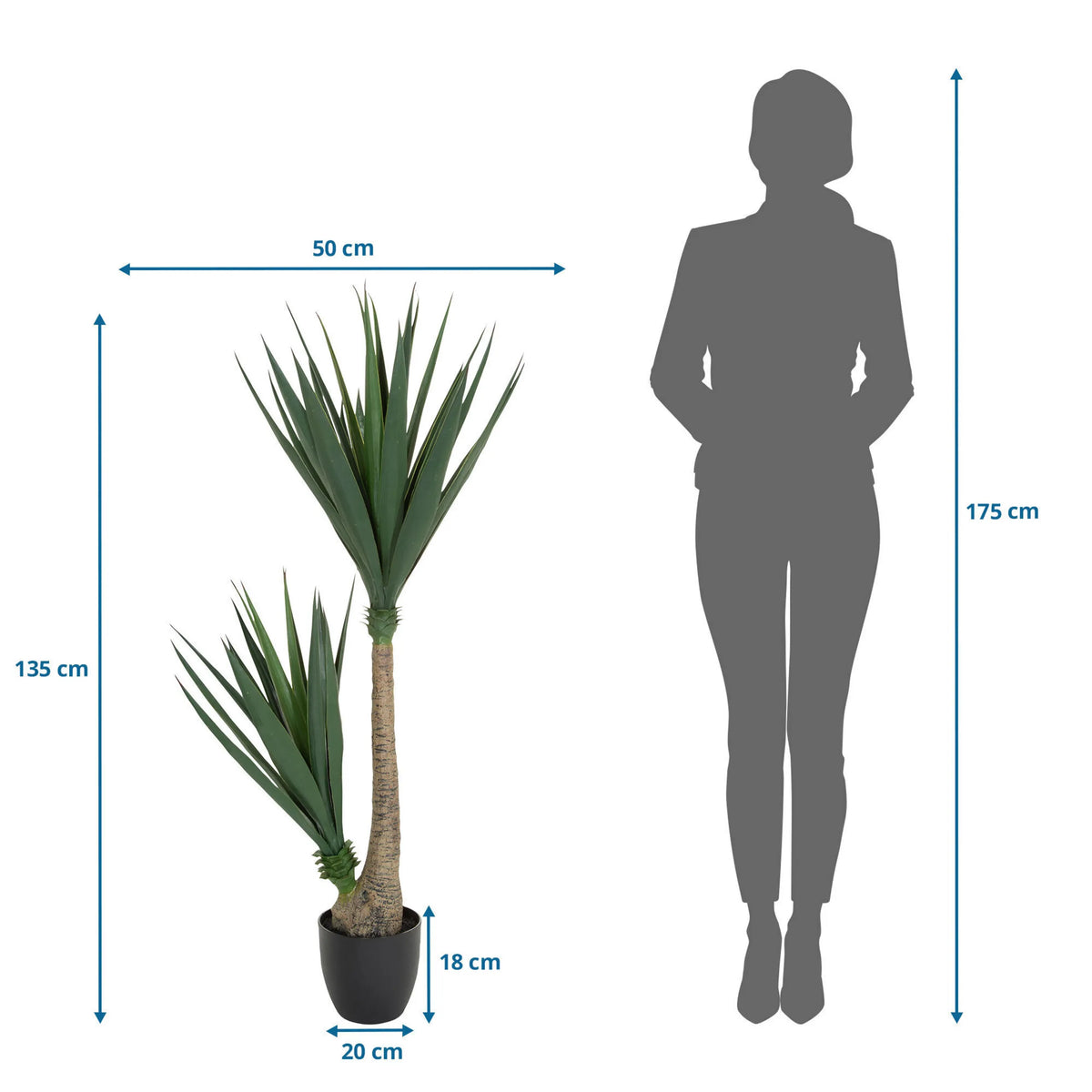 Tekokasvi YUCCA mittojen piirustus, korkeus 135 cm ja leveys 50 cm, valmistaja hjh OFFICE