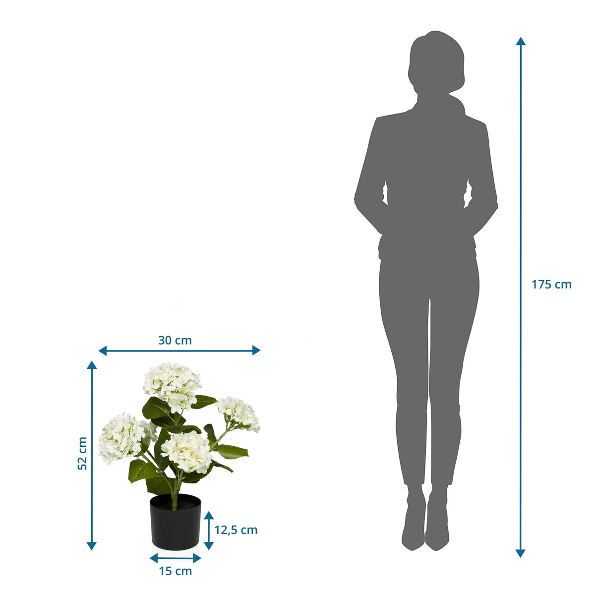 Tekokasvi HYDRANGEA mittojen piirustus, korkeus 52 cm ja leveys 30 cm, valmistaja hjh OFFICE