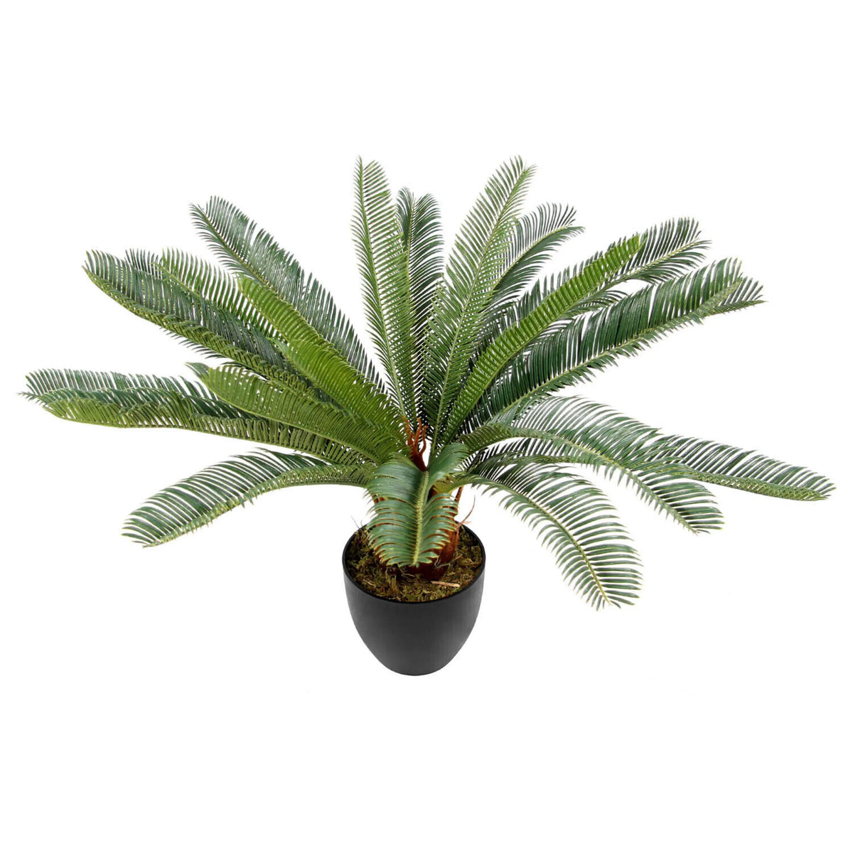 Tekokasvi CYCAS vihreänä mustassa ruukussa, valmistaja hjh OFFICE