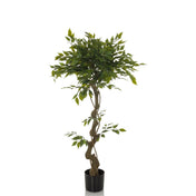 Vihreä Tekokasvi FICUS I kierteisellä varrella mustassa ruukussa, valmistaja hjh OFFICE