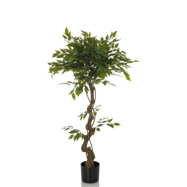 Vihreä Tekokasvi FICUS I kierteisellä varrella mustassa ruukussa, valmistaja hjh OFFICE