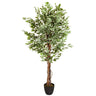 Tekokasvi FICUS vihreillä ja valkoisilla kirjavilla lehdillä mustassa ruukussa, valmistaja hjh OFFICE