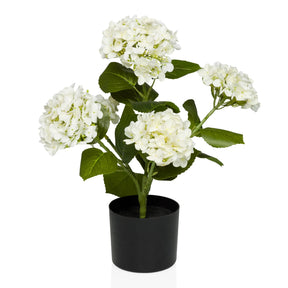 Tekokasvi HYDRANGEA, jossa on valkoisia kukkia, vihreitä lehtiä ja musta ruukku, valmistaja hjh OFFICE