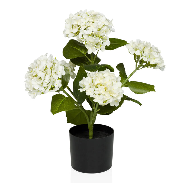 Tekokasvi HYDRANGEA, jossa on valkoisia kukkia, vihreitä lehtiä ja musta ruukku, valmistaja hjh OFFICE